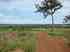 Fazendas a venda-rural urbano-julios dna imoveis